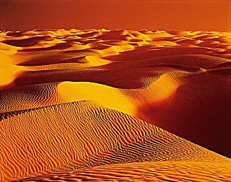 《绝地求生》最新地图包含类似《使命召唤：战区》的复活和自救机制