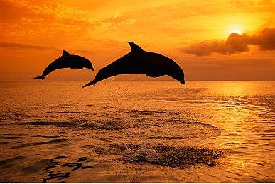 小女孩最爱《彩虹小马：玛泰湾冒险》5月发售